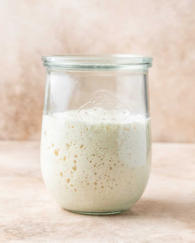 How to care for your sourdough starter