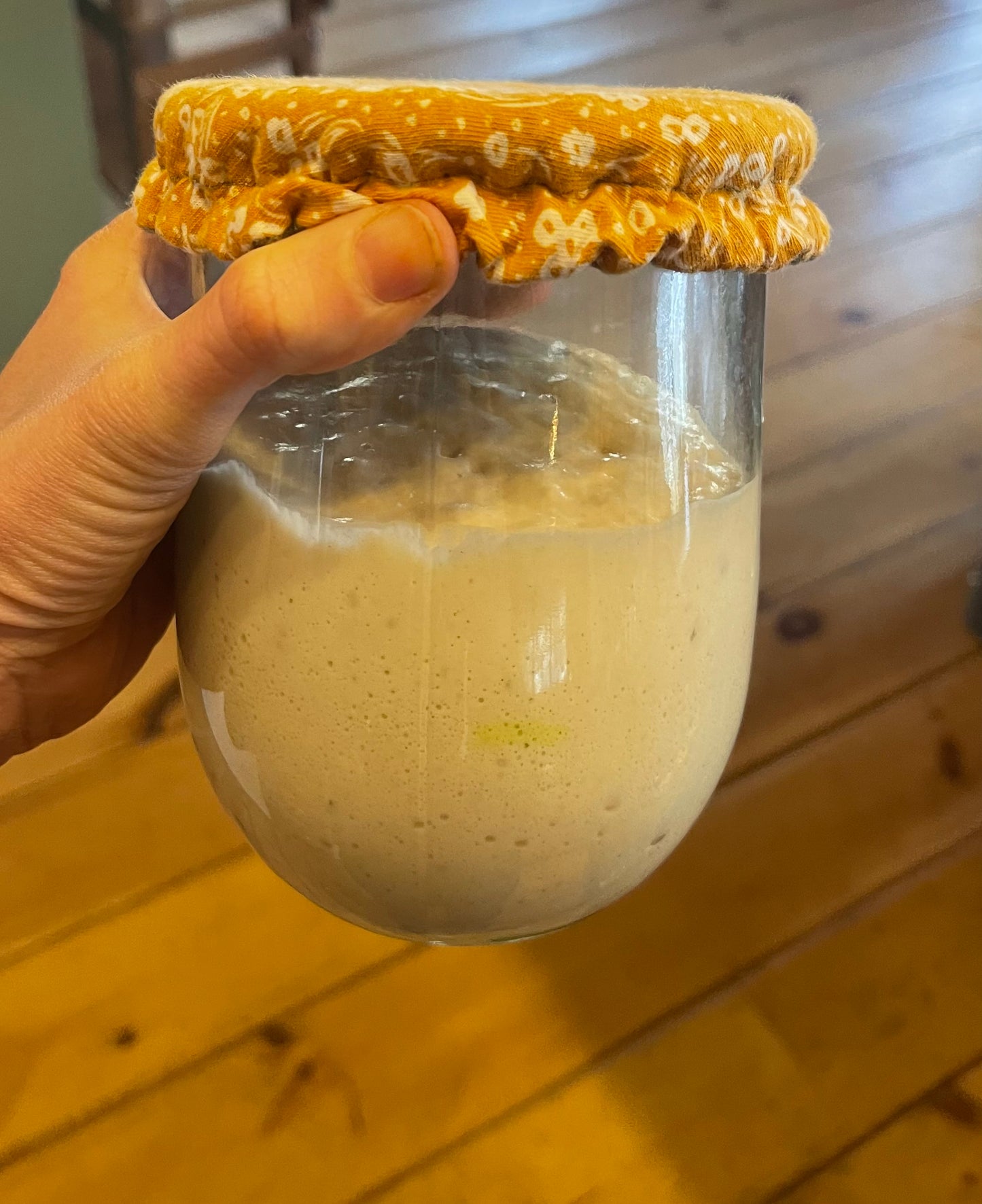 A side view of a hand holding a glass jar with a  flowerily yellow , cotton jar cover fitted on top, containing an active sourdough starter.

